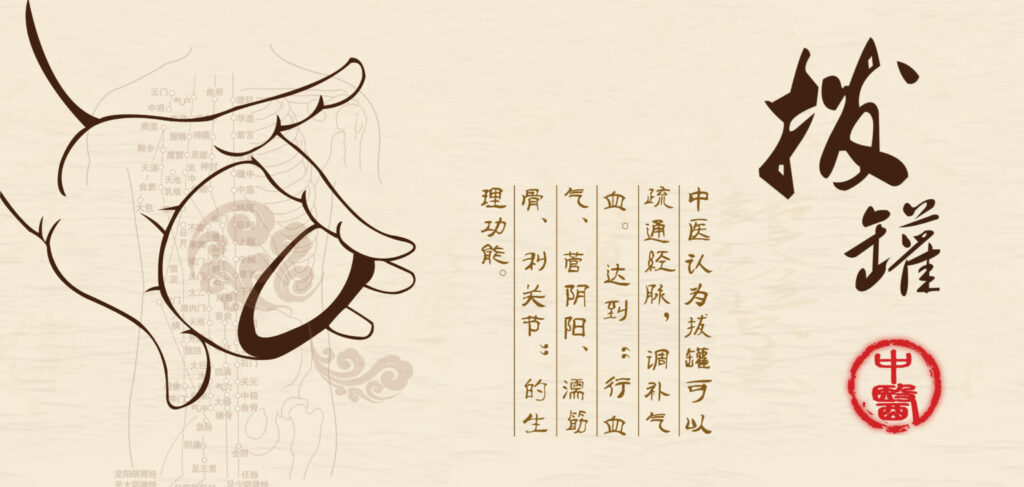 5 1536x731