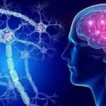 neuro